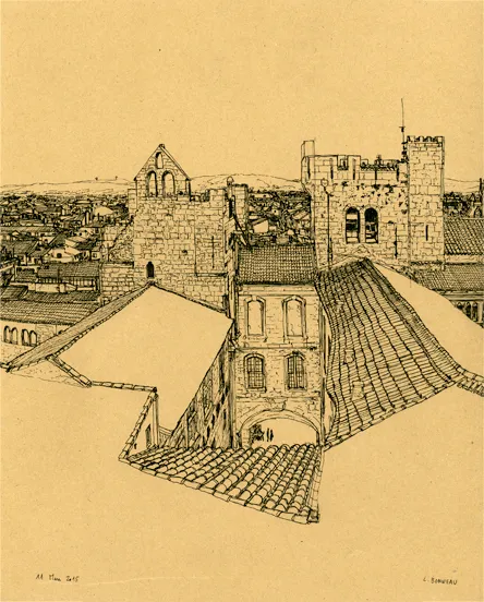 Planche 4 de Narbonne
