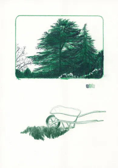 Planche 2 de 7 minutes