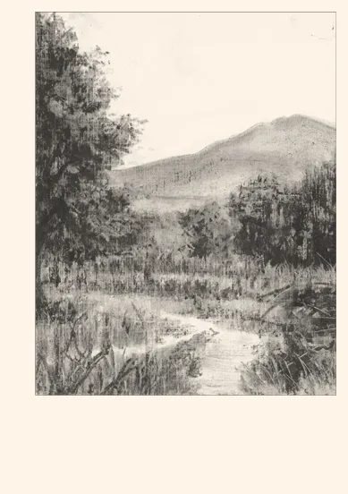 Planche 3 de Confinement dans les Albères
